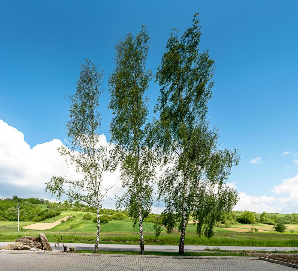 Agrohotel Tri Brezy Hrustin Eksteriør bilde